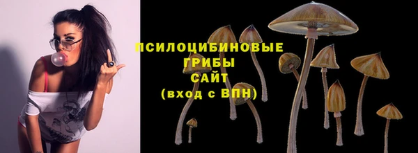 первитин Мегион