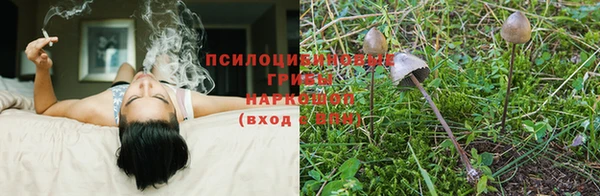меф VHQ Медвежьегорск