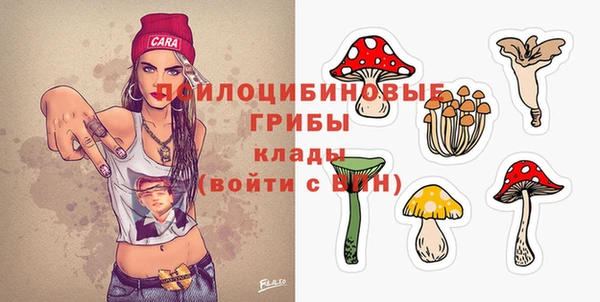 первитин Мегион