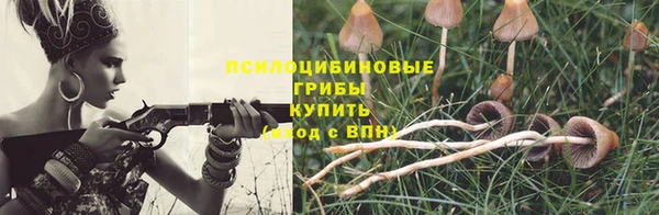 первитин Мегион